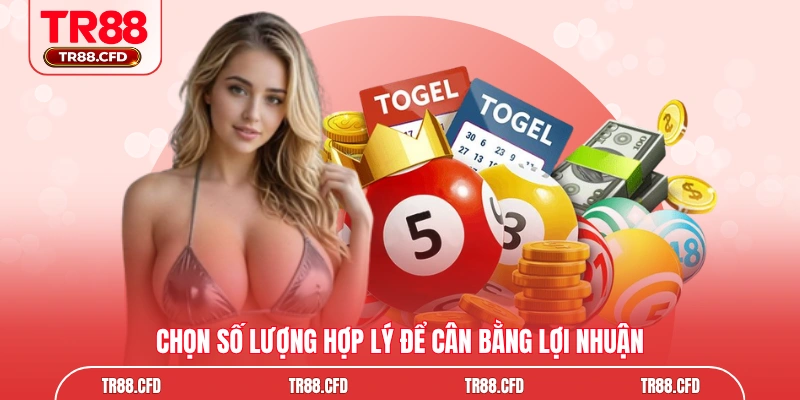 Chọn số lượng hợp lý để cân bằng lợi nhuận