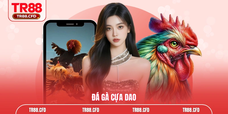 đá gà cựa dao