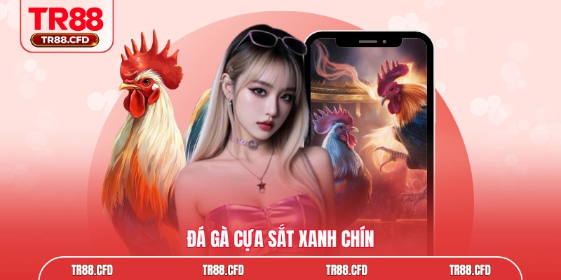 Đá gà cựa sắt xanh chín
