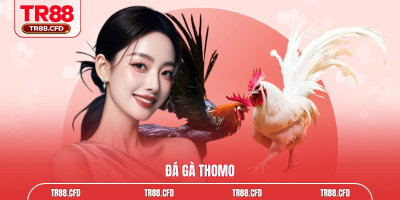đá gà thomo